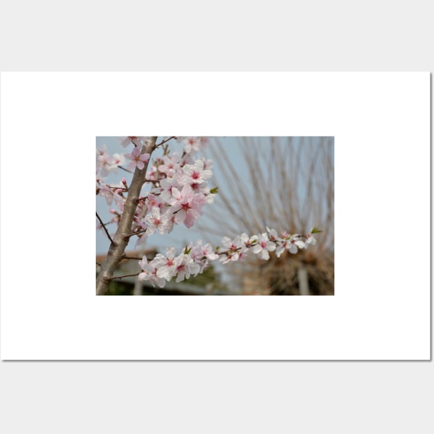 Almond Blossom Wall Art by jojobob